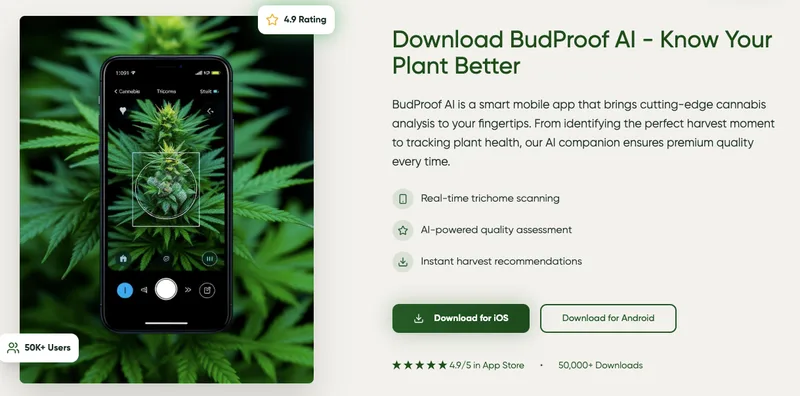 Bud Proof AI web and product experience
